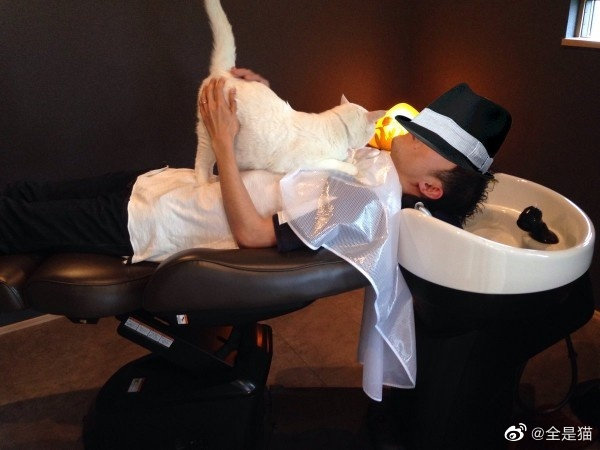 刘昊然在保温杯上班,刘昊然带保温杯上班