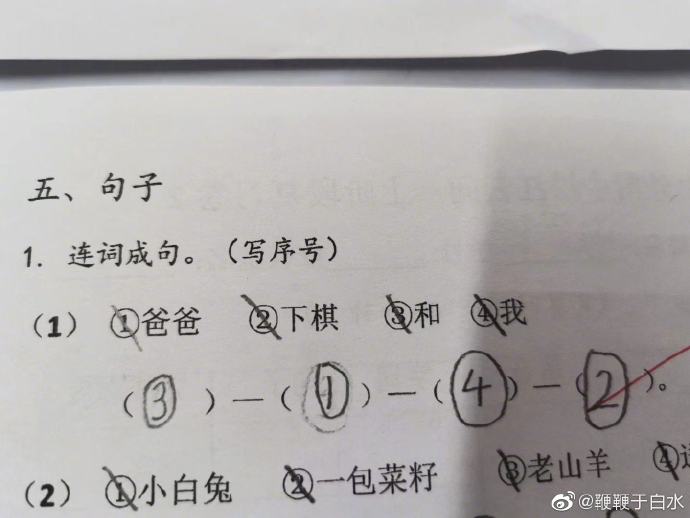 海底捞的单人套餐有什么菜,海底捞的套餐怎么那么便宜