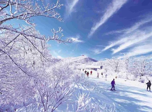 中国能一年四季滑雪的雪场,去滑雪哪个雪场值得去
