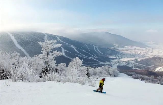 中国能一年四季滑雪的雪场,去滑雪哪个雪场值得去