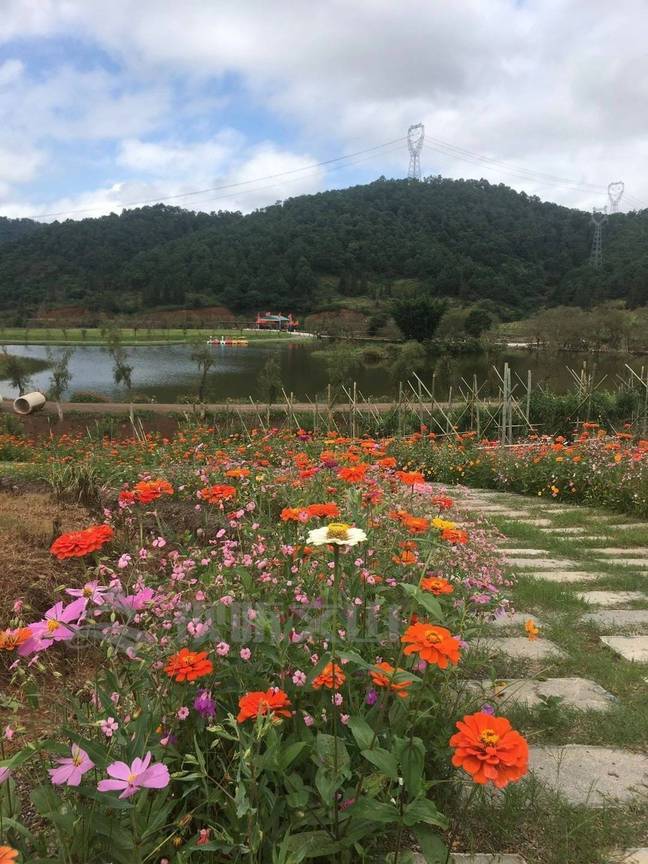 弘扬新时代西畴精神｜颜玉锐：走出大山又回到大山的致富带头人