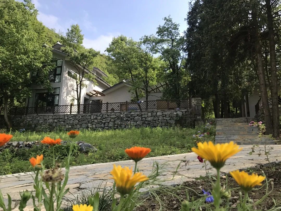 百里杜鹃民宿推荐,贵州百里杜鹃附近民宿