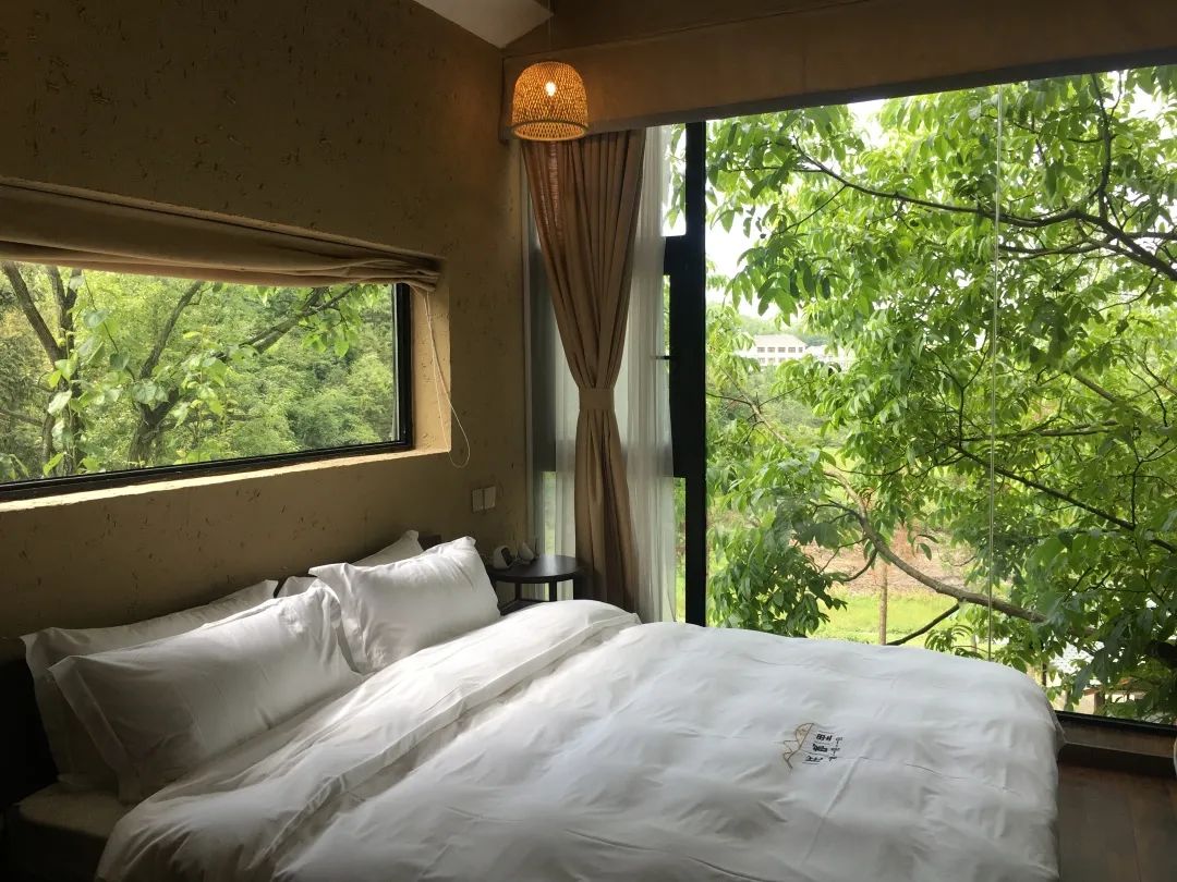 百里杜鹃民宿推荐,贵州百里杜鹃附近民宿