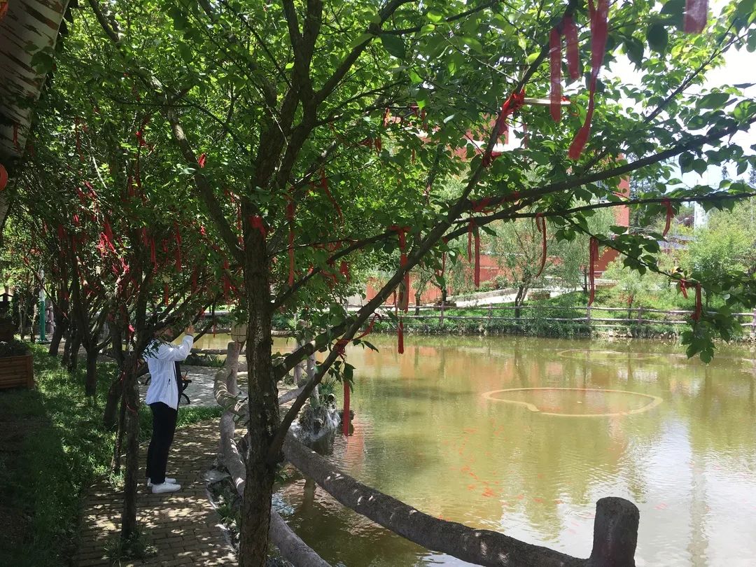 百里杜鹃民宿推荐,贵州百里杜鹃附近民宿