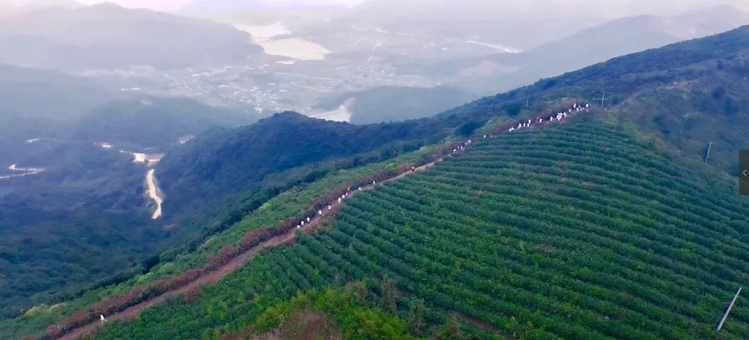 定海山丨“舟马”刚过，又一场家门口的体育赛事要来啦