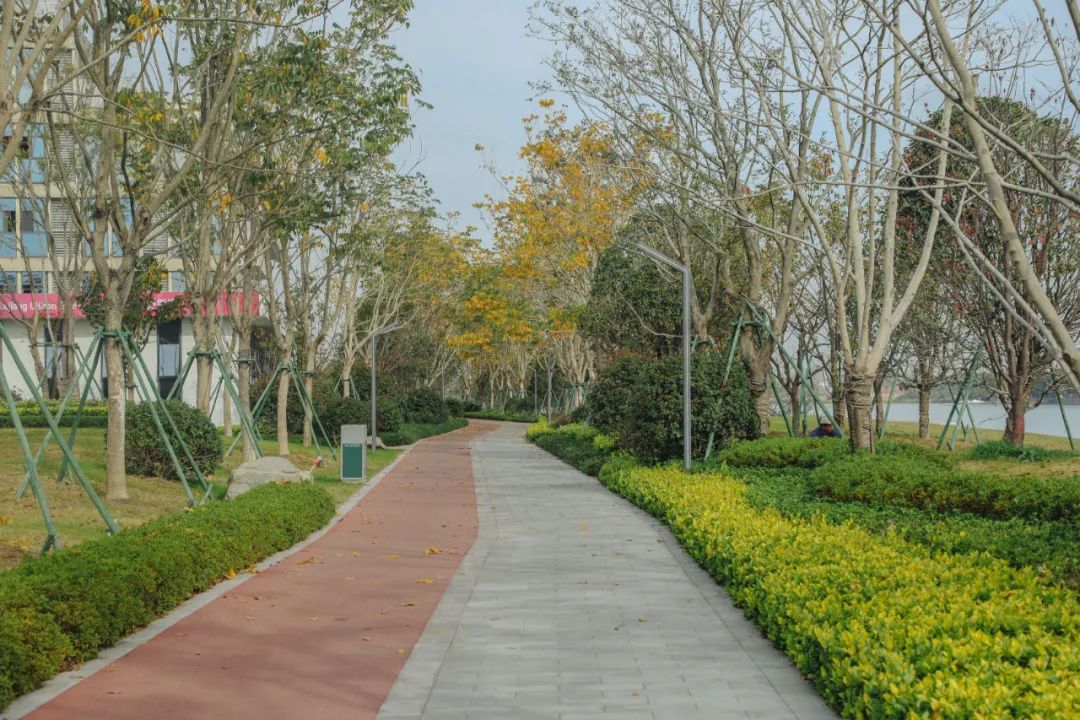 江北打卡公园,有颜值更有内涵