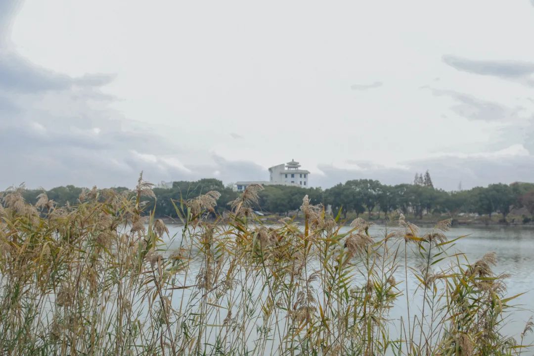 江北打卡公园,有颜值更有内涵