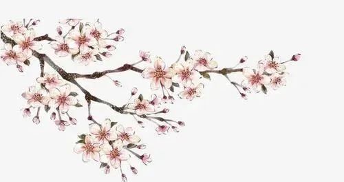 教师怎样设计一堂好课,如何设计一节课的讲课思路