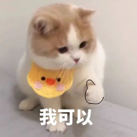 猞猁和雪兔,雪兔和猞猁