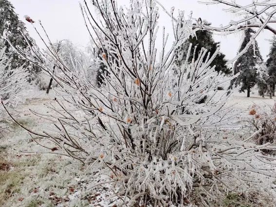 延边开启滑雪季快来嗨翻冬天,雪雪来了