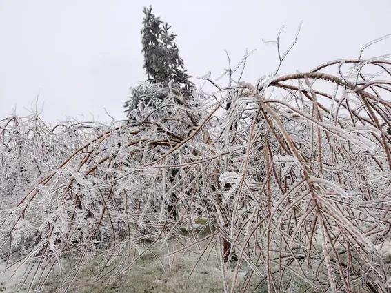 延边开启滑雪季快来嗨翻冬天,雪雪来了