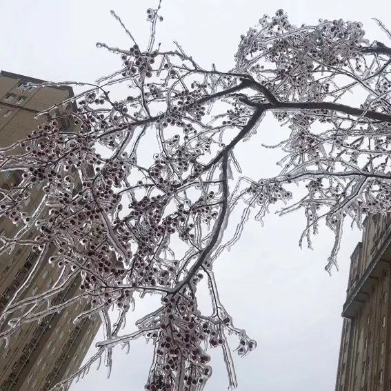 延边开启滑雪季快来嗨翻冬天,雪雪来了