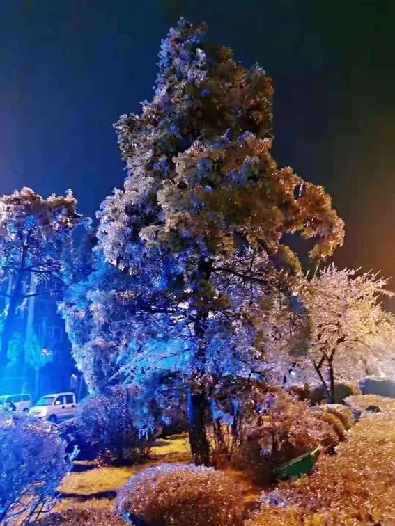 延边开启滑雪季快来嗨翻冬天,雪雪来了