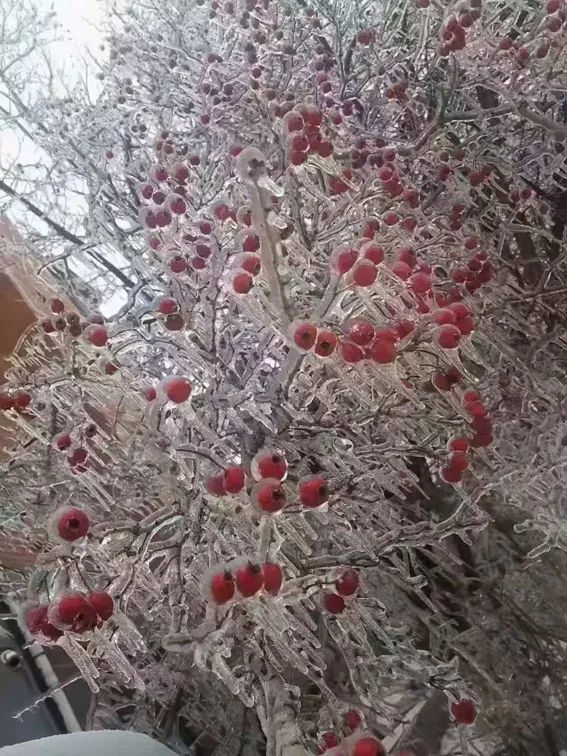 延边开启滑雪季快来嗨翻冬天,雪雪来了