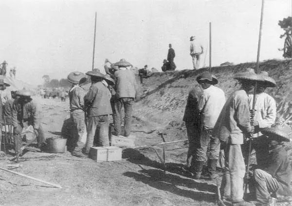 特朗普如何看待美国大选,特朗普大选对美国有没有影响