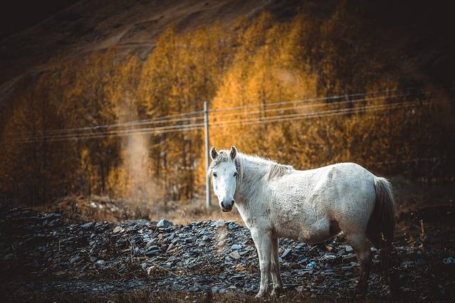 以山川为歌，奔赴一场和远方的约会