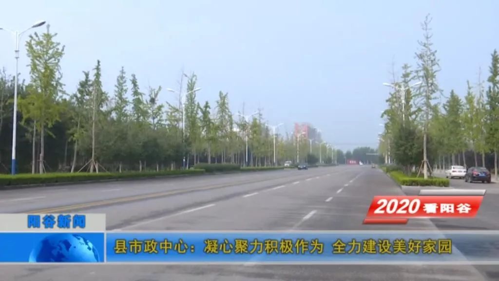 担当实干聚力建设美丽家园,凝心聚力共建美好家园