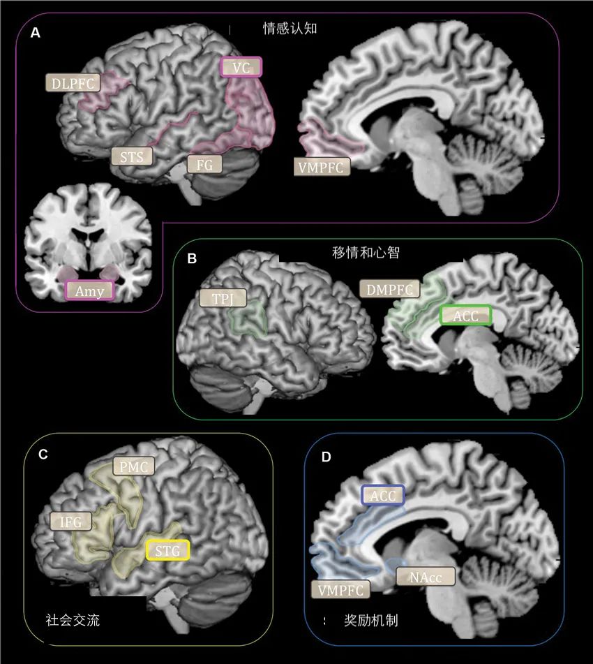 一孕傻三年这个说法存在吗,一孕傻三年是真的