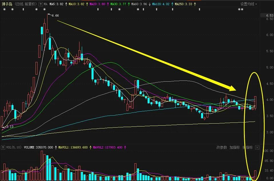 什么鬼，扇贝又回来了，还带着老婆孩子？华夏基金大佬2.5亿“押注”，这只股天量回调能“上车”吗？