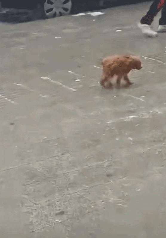 掐指一算你命中有一缺,掐指一算你命中缺我下一句