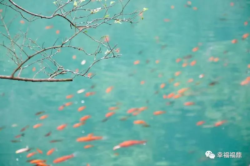 看完这篇文章你会惊叹古人的聪颖,看完这篇文章你还敢喝低度酒吗