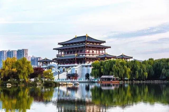 收官！这份《三官挑刺报告》，为您呈上~