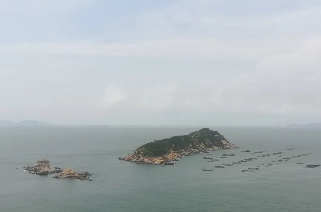 什么是广东省直社保,什么是广东瓷砖