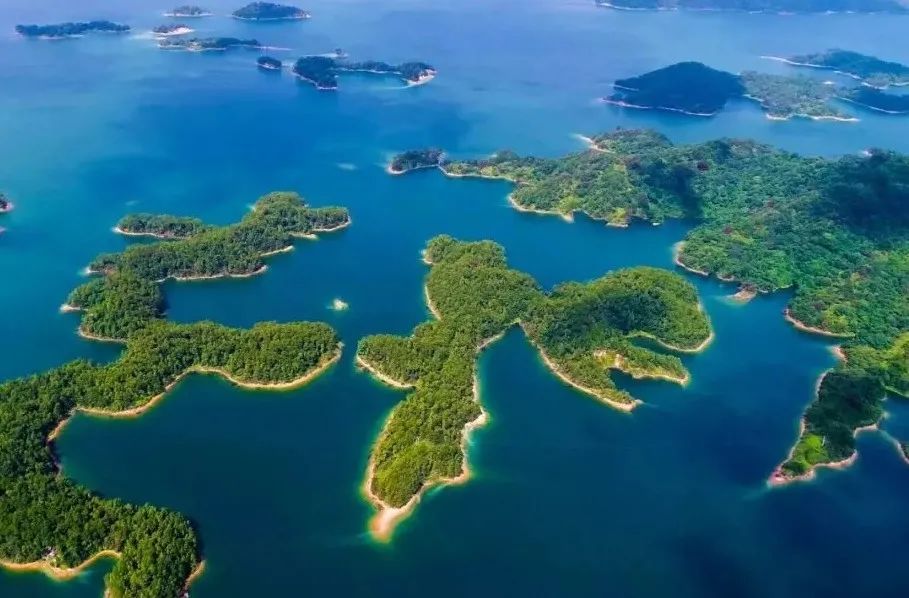 什么是广东省直社保,什么是广东瓷砖