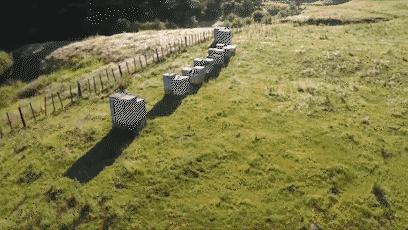 口臭吃了不会口臭的硬糖,口臭吃了糖就不臭了是什么原因