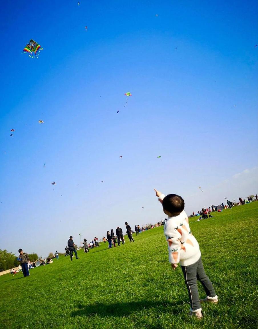 杜邑遗址风景区,杜邑花海风景区