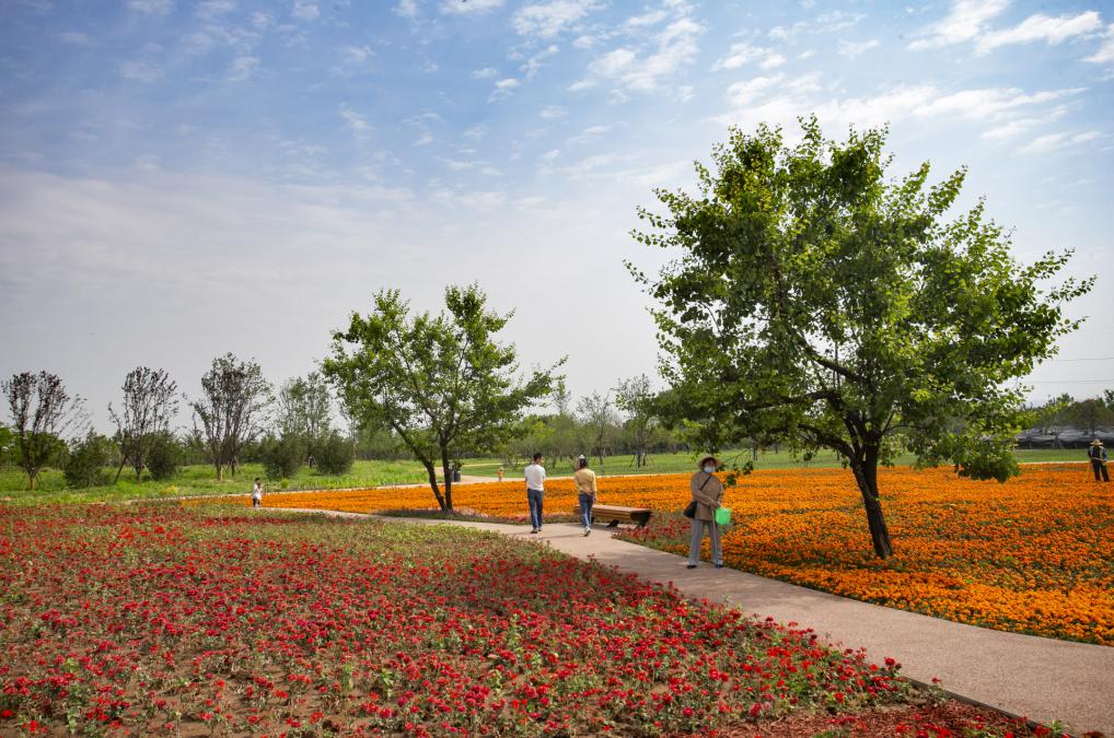 杜邑遗址风景区,杜邑花海风景区