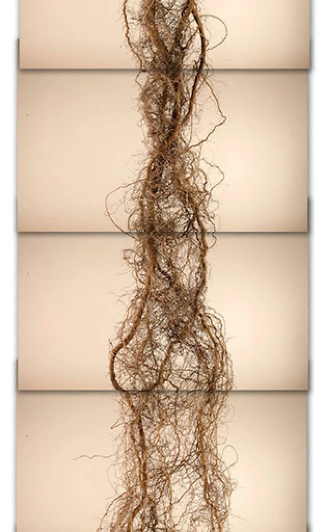 土这种物质，可太冤了