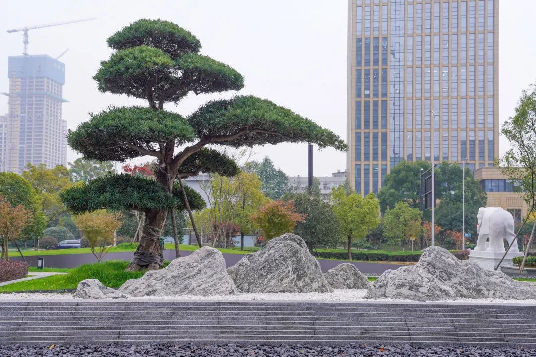 excellent用在哪里,excellent有最高级吗