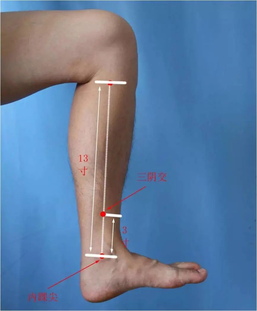 针灸治什么病疗效最好女性,针灸抗衰真的靠谱吗