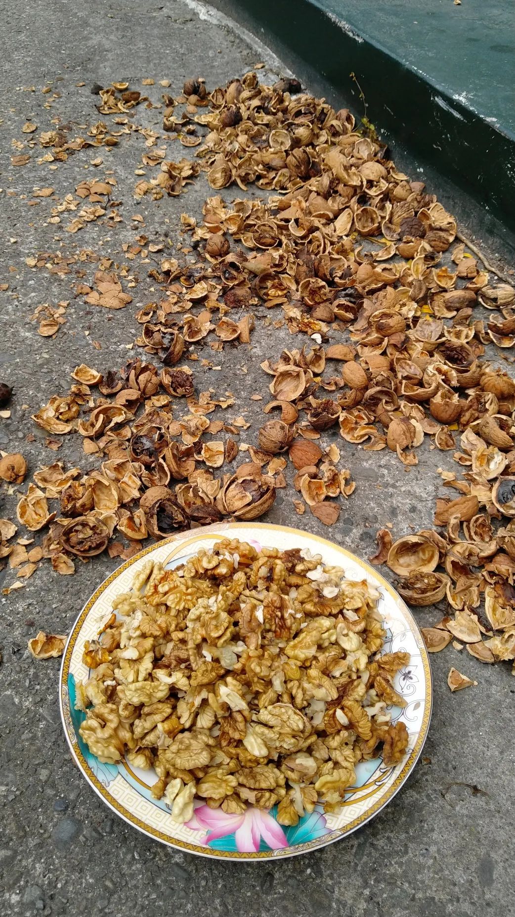 6年睡在公司里，35岁留学，36岁获得新西兰顶级动画新人奖——超酷红姐的硬核人生