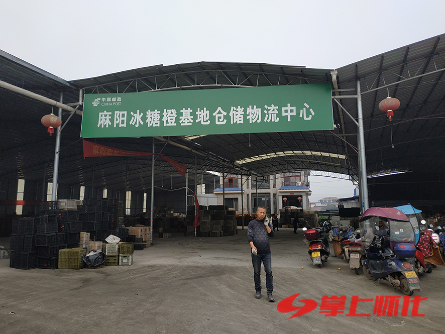 柑橘上市,柑橘生产旺季是什么时候