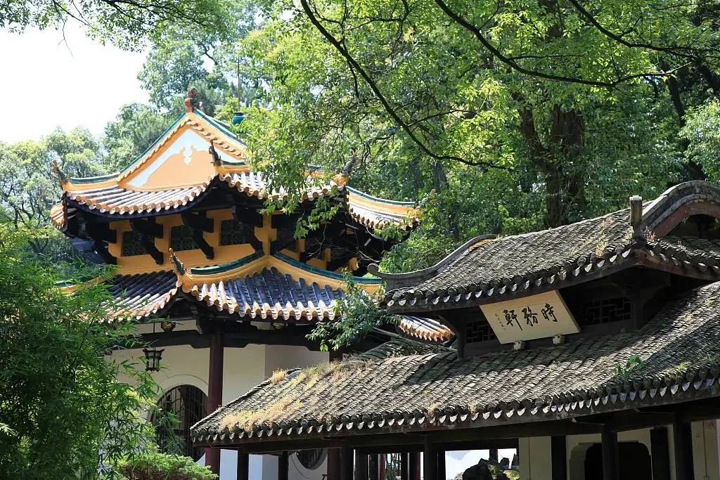 今天cctv1在线直播节目表,cctv1开讲啦今天的直播回放