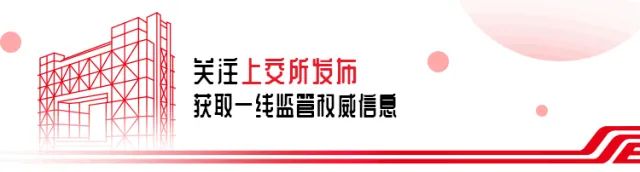新规退市风险股票一览表,新规退市风险名单公布