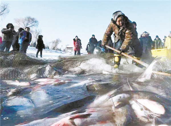 九大冰雪主题活动搅热冰雪“欢乐季”
