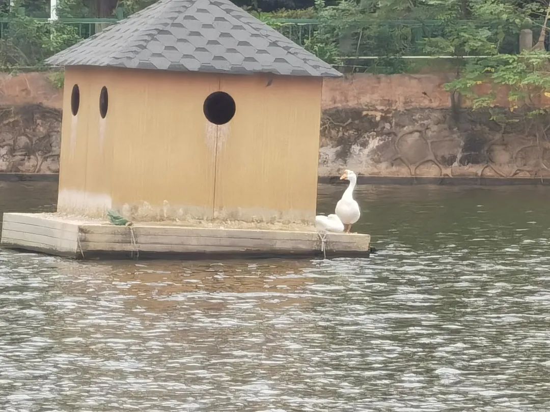 江西科技师范大学理工学院贴吧,再见了江西科技师范大学