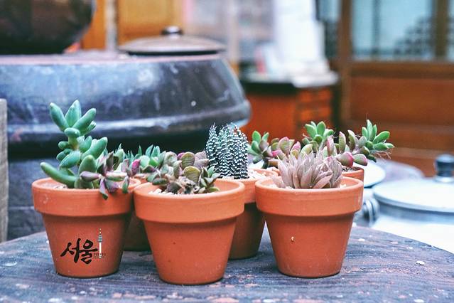 首尔秋天的天气,首尔青瓦台的秋天