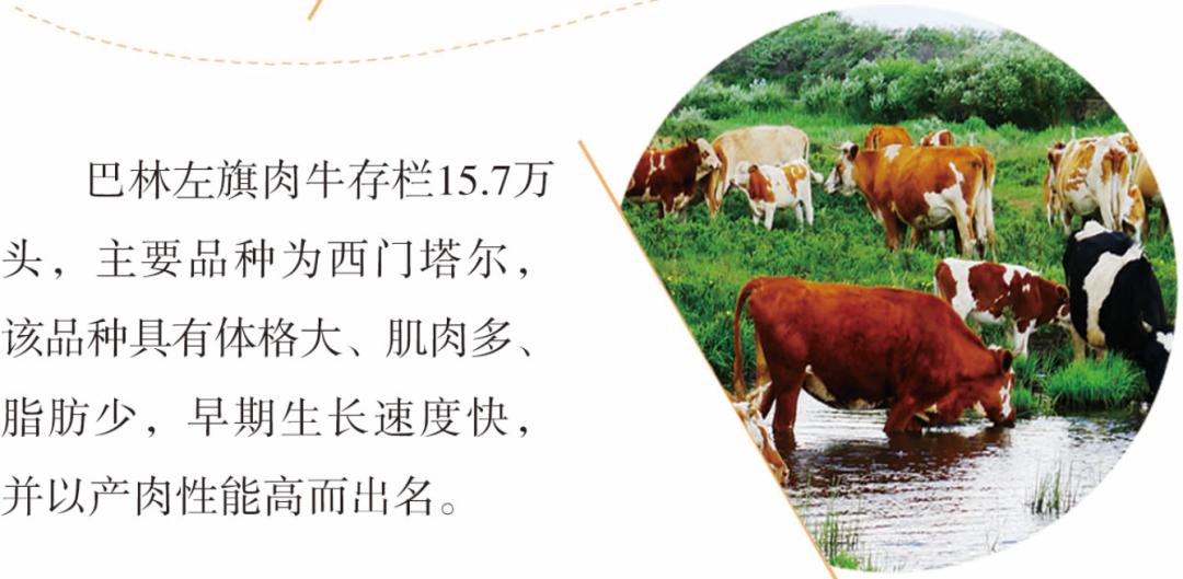 投资巴林,投资热土创业项目