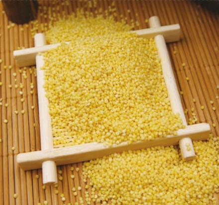 投资巴林,投资热土创业项目