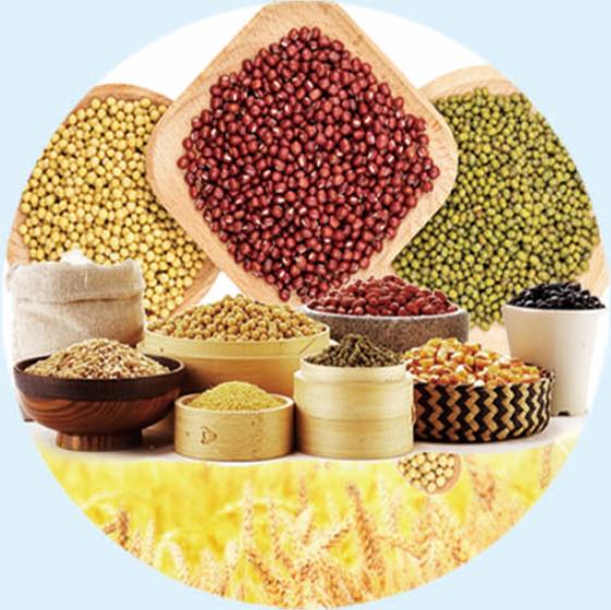 投资巴林,投资热土创业项目