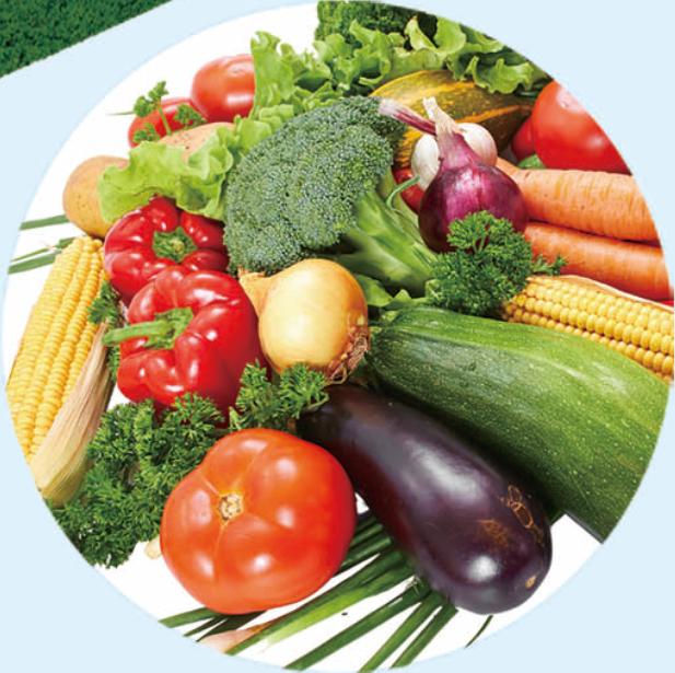 投资巴林,投资热土创业项目