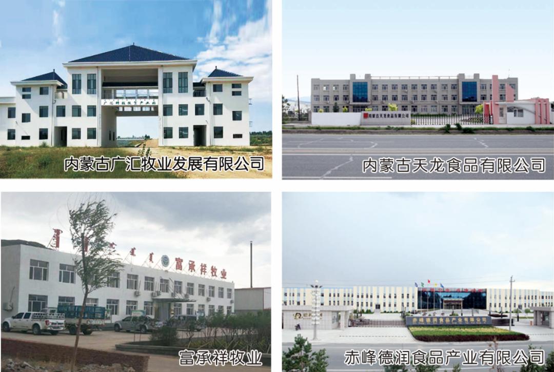 投资巴林,投资热土创业项目