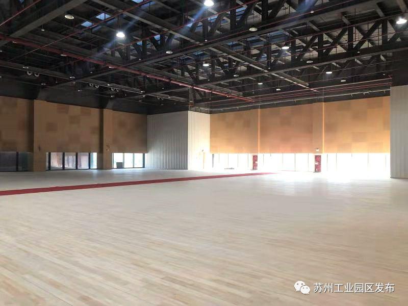 工业园区南部市民中心,南部市民中心项目