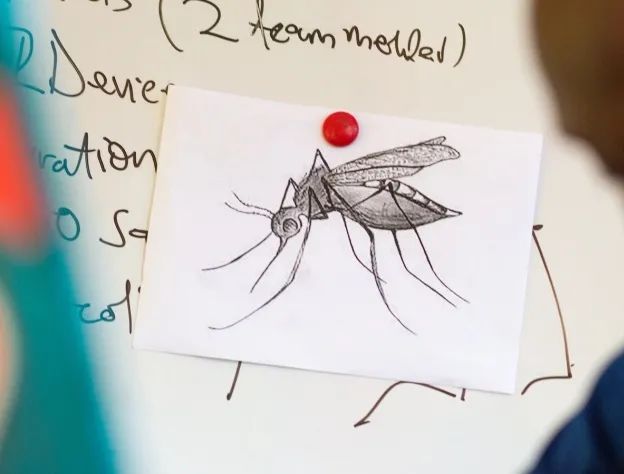 用改变世界的决心去改变自己,寻找未来的最优解