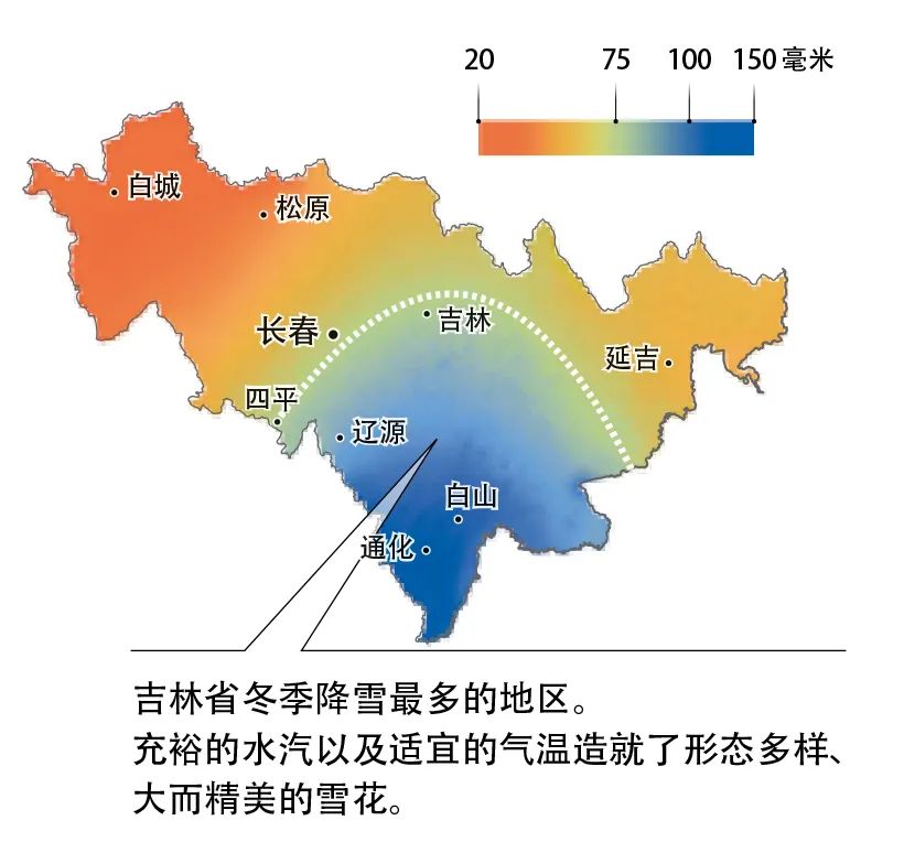 东北的冷知识是什么,东北冷知识大全