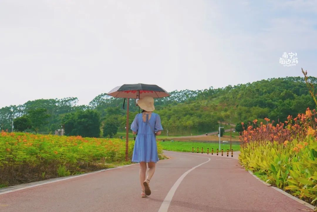 南宁适合一日游攻略,南宁免费玩的地方
